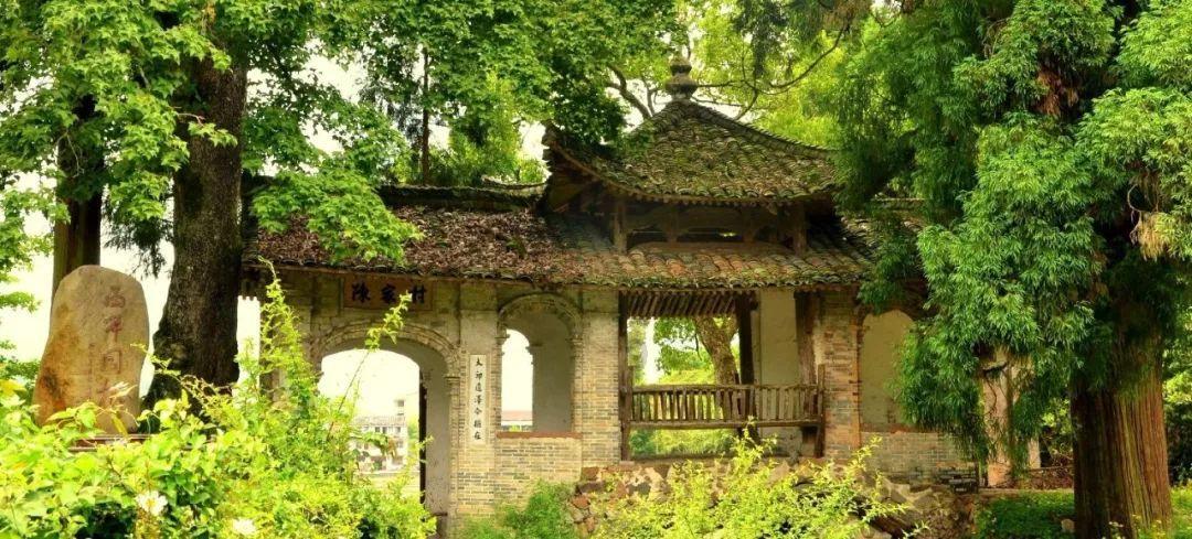 20年前王艳有多美？难怪21岁王志才就娶了，网友：换我也等不及
